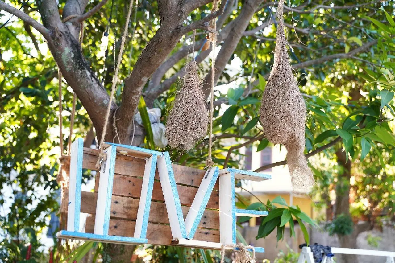 Longan Homestay Hoi An