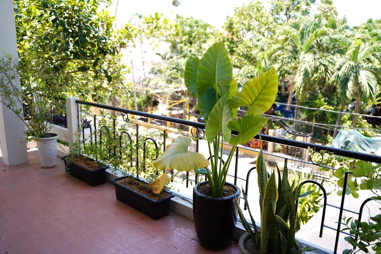 Longan Homestay Hoi An