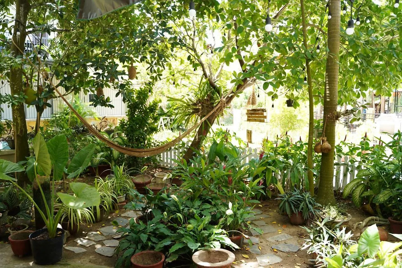 Longan Homestay Hoi An