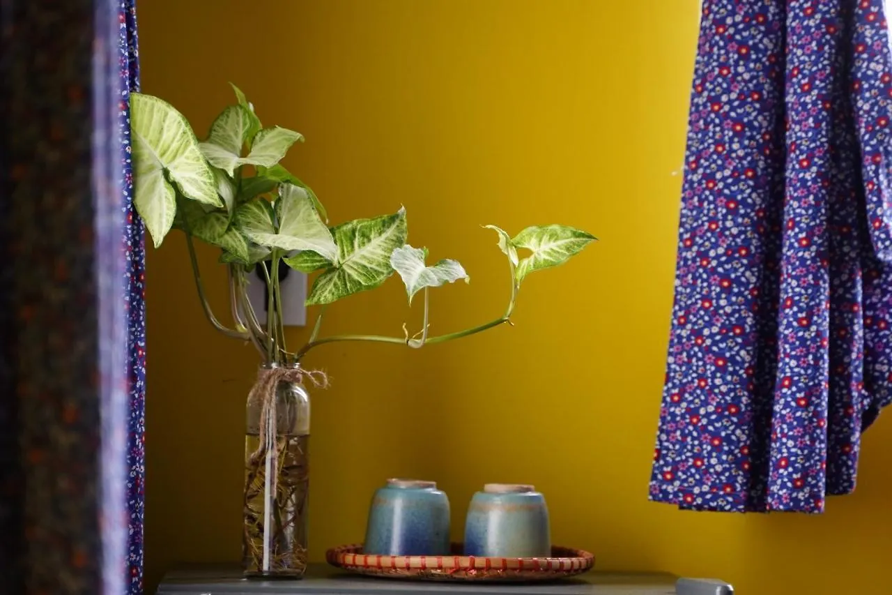 Longan Homestay Hoi An